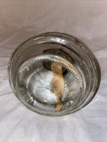 7” X 5” Vintage Clear Glass Oil Lamp